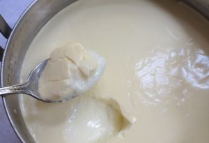 Texture of chilled yogurt is like silken tofu. Since I used raw milk, the fat separates and forms a soft yellow layer. Yum!